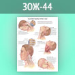 Плакат «Хлыстовые травмы головы и шеи» (ЗОЖ-44, ламинир. бумага, А1, 1 лист)